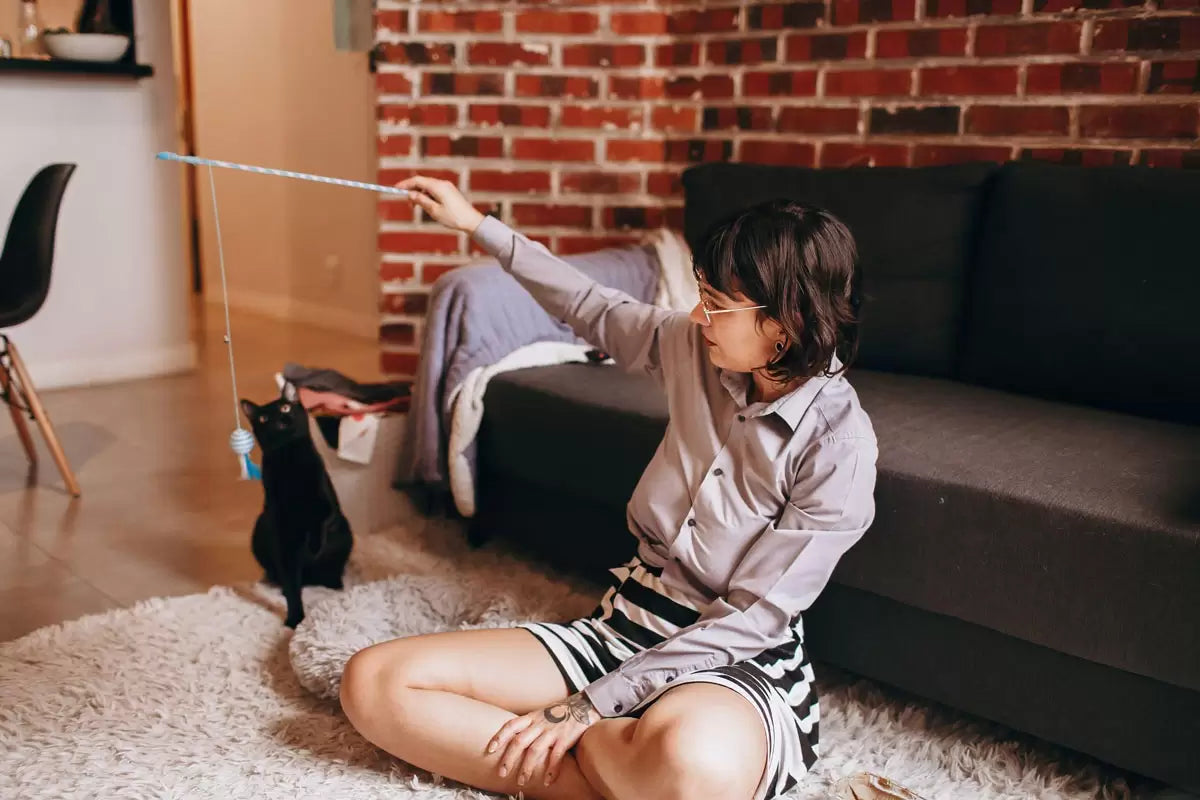 5 Mẹo Duy Trì Sự Cân Bằng Lành Mạnh Giữa Công Việc, Cuộc Sống Và Thú Cưng