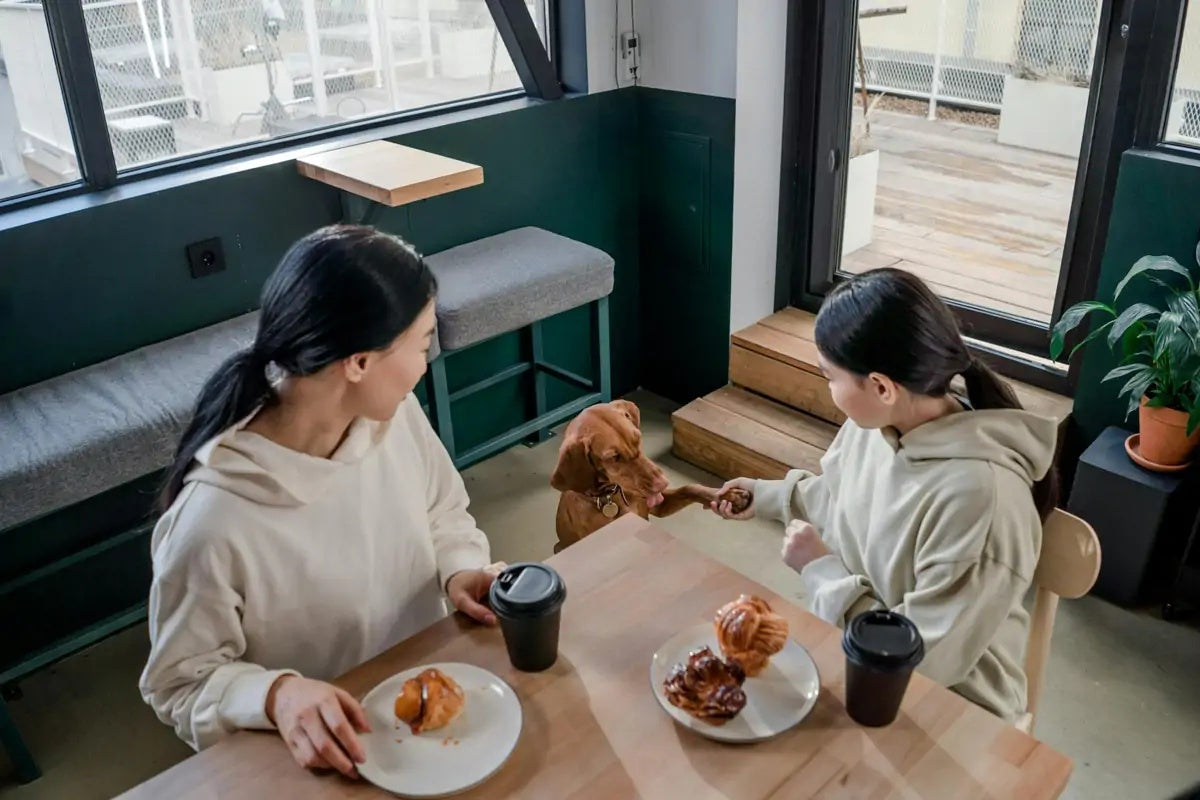 Cách các quán cà phê thú cưng giúp bạn và “boss” trở nên cởi mở, hòa đồng hơn