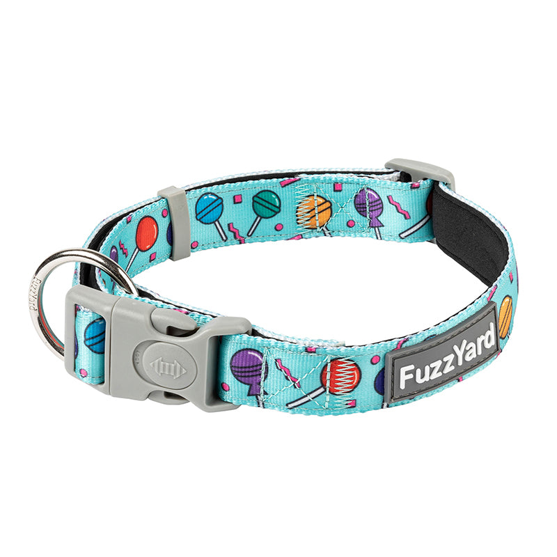 FuzzYard Hey Suckers Collar