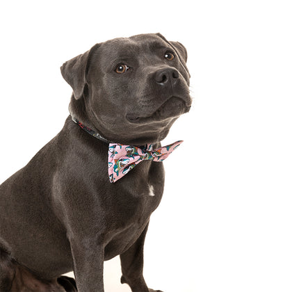 FuzzYard LL Cool Jaw$ Bowtie