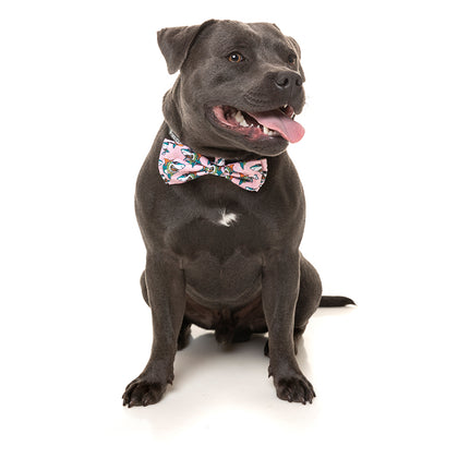 FuzzYard LL Cool Jaw$ Bowtie