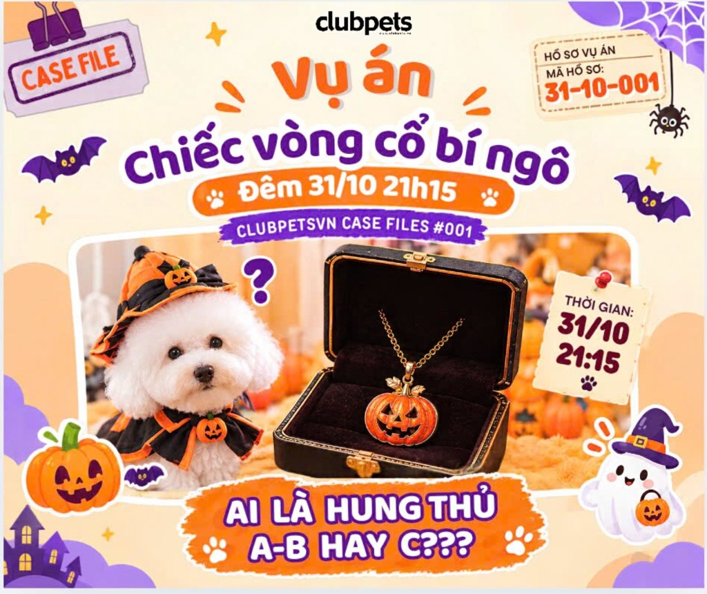 Chó mặc đồ Halloween ngồi cạnh hộp đựng vòng cổ bí ngô